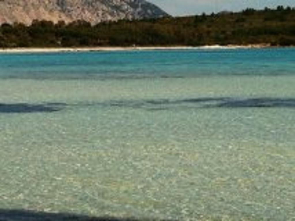 Appartamenti Marilu La Caletta Dış mekan fotoğraf